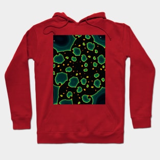 Minerals Hoodie